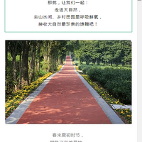 2019.04.28�������껰���ţ��������¡�����+����