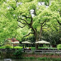 ���񲻺ã��������ɫ