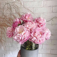 ɽ������ҩ��������Ϊ�Լ�����