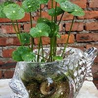 ��һ�ڼ�����ߣ��ߣ��ߣ��