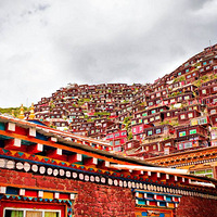 �ȸ߿����п������ˡ�Ӧ�ø������Ƿ���������