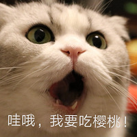 ӣҡ