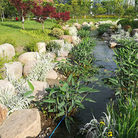 ���ſڵĹ�԰