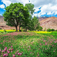 ����ԭ��������6��