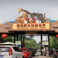 Bomoda֮�ã�the second day