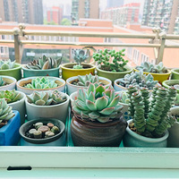 ����19�̶��⣬����