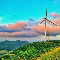 �������� | �糵���������ŵ�������������·