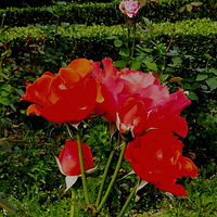 �����¼�