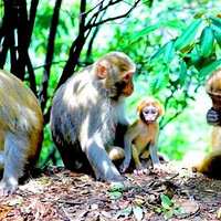 �żҽ��������滮