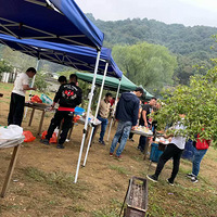 �����տ�������~~