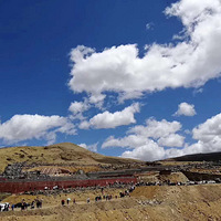 ɫ����ǣ��������Լ���ƴ��