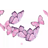 ������ɽ��2019�׳���ɽ���С������������ר������������ʱ2��