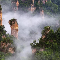 �żҽ�ͷ�˹ų����������Ҫ���죿�˾����Ѷ���Ǯ��