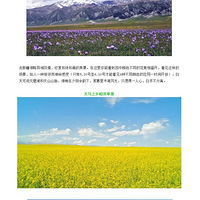 ΢��ת��520����������ȥ����