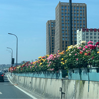 �����ĺ��ݸ߼�