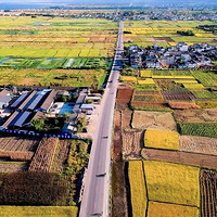 ��ļ������Լݴ��Ʋ��ð�