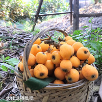 �����֭�����˹��� | ���������˳��ĵ�����