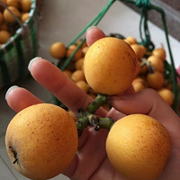 �������˲�ժ����ͻ�����ϵ