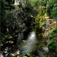 �ξ�Ϫʮ�˽�