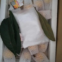 �����˵���������