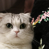 ѩ  5.13