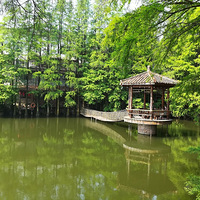 ����컵�������ɽׯ