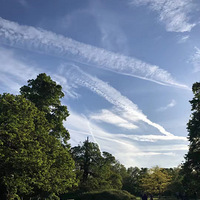 ռ��160��ƽ���׵�Ӣ�����Ļʼҹ�԰�����¹�԰