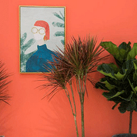 ��ɳ�´򿨳������˵�����������ݽ�ɳ��֣�