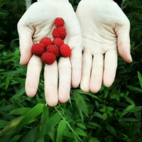 5.1������  Ī��ɽ֮��̶��