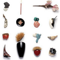 �ձ���ֻ��Ħ�����Ұ��90%���˶���������Щһ��רҵ��������ѧ