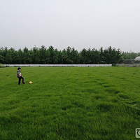 ���ػ��⣬��������ժ���Ž������Ҹ���Ŷ