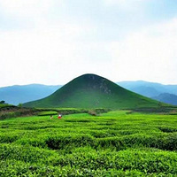 �������� | ͽ�������ŵ��������㽭�书ɽ