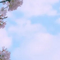 �����Ž�������Ư�������������㡢��Ϫ��̽�ա���չһ����������