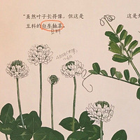 ����һ���ر��ʺ�������ڵġ����ӿ�ѧʵ��������  ��