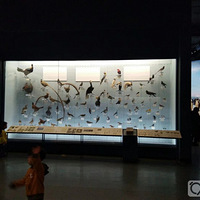 ������ݡ�+��Ȼ����ݴ�