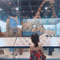 �����+���ǵĲ����֮��