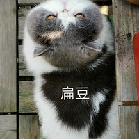 19¥èȺĿɰèǣͼ͡