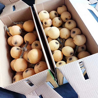 5�����˻ƣ��������Ӳ�ժ�Σ�