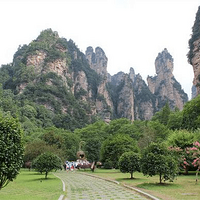 �żҽ硪������ɽ����ջ��