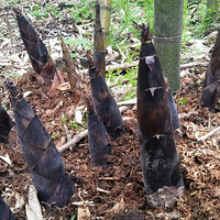 �ٰ��ۻ����к�ȥ��