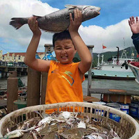 ���������棬�Ժ󺣱��������ķ�չ����