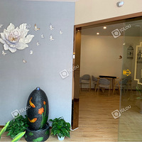 ����ȥ��һ����������ɫ�����ƻ���