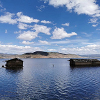 ��Զ�������������Զ��������