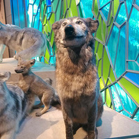 ������ݡ��Ϻ���Ȼ�����