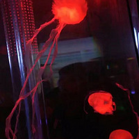 ������ݡ�+�Ƽ������