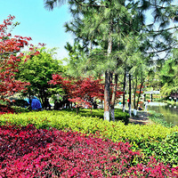 ����֮��ɫ176-��ȥǧ��԰2