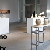 �����������ձ���ѧ�������������ר��רҵ���