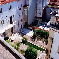 �߿�450�֣���������У��Ӣ������ѧԤ�ư����ֱ��