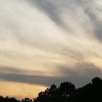 ���պ���������