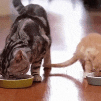 Ϊʲô��Щ�˳Բ��֣�